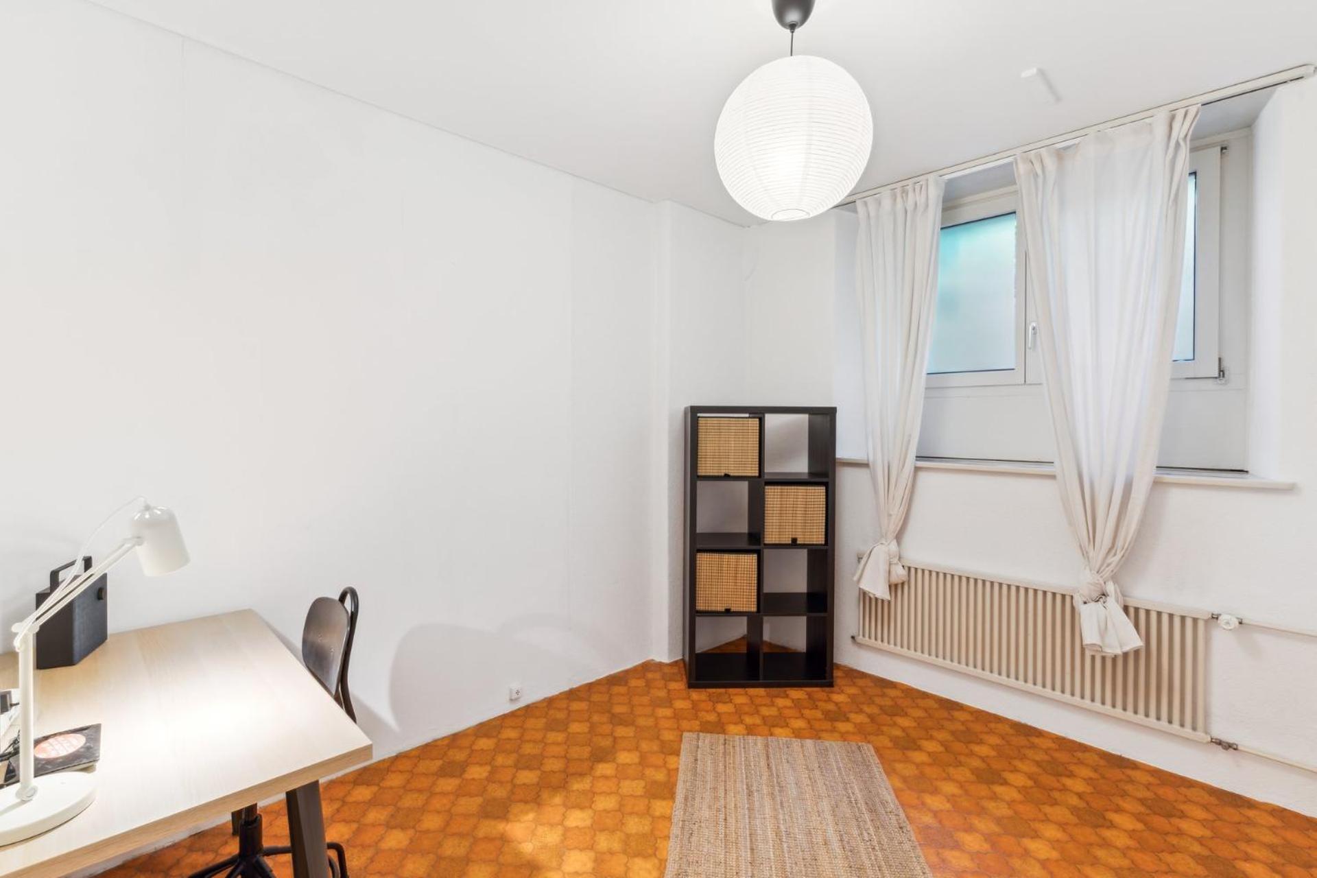 Spacious Apartments In The Heart Of Zurich Zltwg66 Extérieur photo